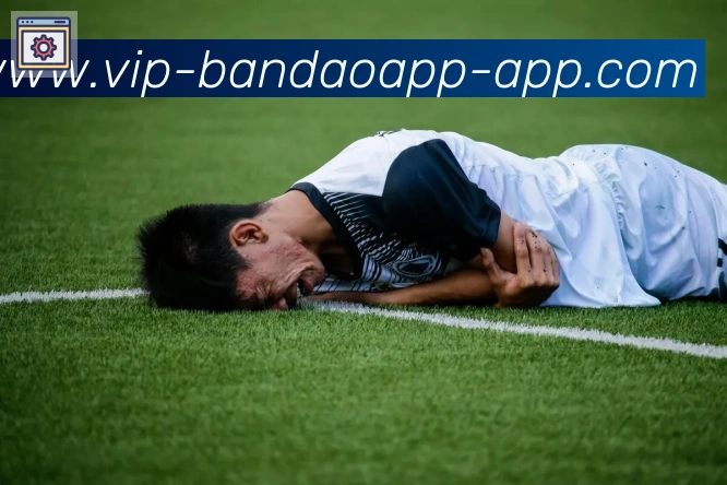 App界面